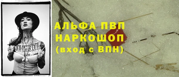 эйфоретик Беломорск
