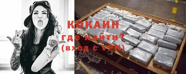 шишки Козловка