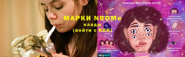 эйфоретик Белокуриха